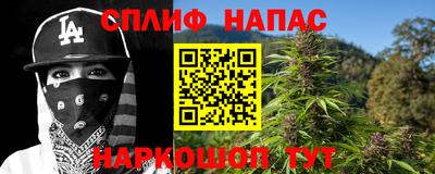 гашик Ливны