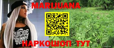 гашик Ливны