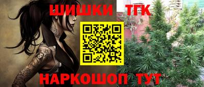 гашик Ливны