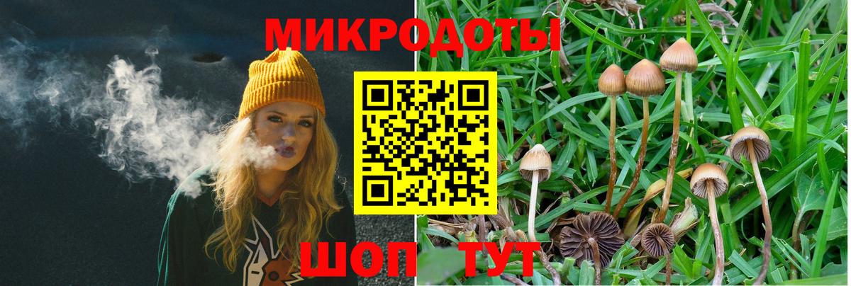 Ивантеевка  Псилоцибиновые грибы Cubensis  Вход с VPN  Псилоцибиновые грибы Magic Shrooms 